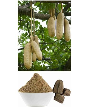 CROW G M Pharmacy Balam Kheera Powder (Kigelia africana) - Pack of 2 (100g Each) - Buy Online on GoSupps.com