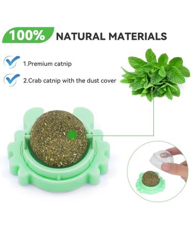 Shop AUCENIX Catnip Balls for Cats - Natural Rolling Cat Toys for Dental Health & Fun (2 Pack - Green) - Buy Online on GoSupps.com