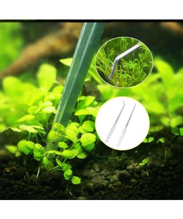 ESKONI 2-Piece Aquarium Tweezers Set - Stainless Steel Straight and Curved Tweezers for Fish Tank Plants 27cm Feeding Tongs - Ideal for Reptiles, Lizards, Bearded Dragon - Buy Online on GoSupps.com