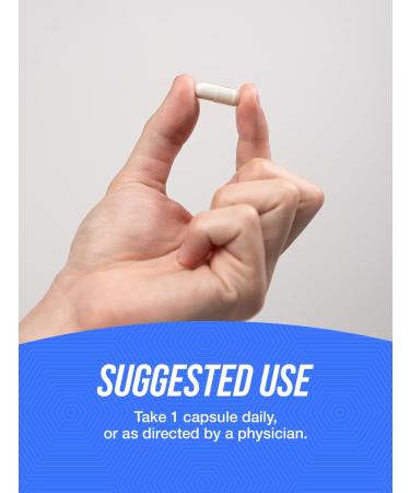 BulkSupplements.com NAD Capsules - Nicotinamide Adenine Dinucleotide NAD Supplement 500mg - for Energy Support Pure & Gluten Free 1 Capsule per Serving 30 Capsules (Pack of 1) - Buy Online on GoSupps.com