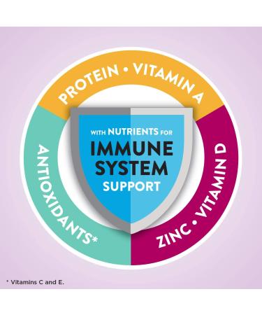 High Protein Meal Replacement Shake - 16g Protein, Low Fat, Milk Chocolate - 8 Fl Oz (Pack of 12) - Buy Online on GoSupps.com