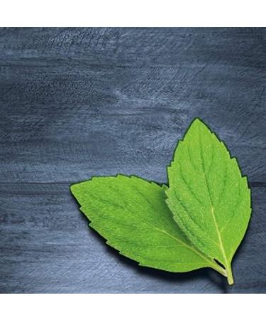 Dr.Oetker | American Peppermint Extract | (35Ml) | (Pack of 4) Peppermint 35 ml - Buy Online on GoSupps.com