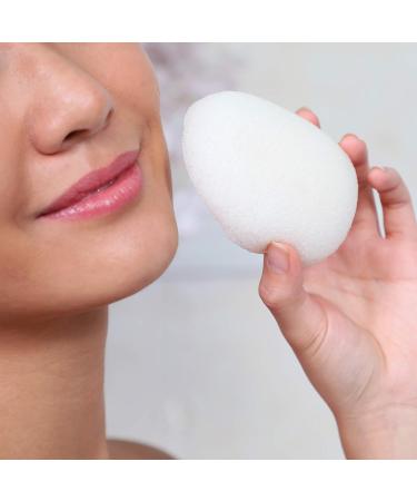 Konjac Sponge Pure by Daily Concepts - Buy Online on GoSupps.com