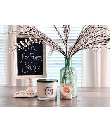 Stay Away Ants & Cockroaches Deterrent Pest Control Scent Pouches - 12 Pack | Natural & Eco-Friendly | No Mess Solution - Buy Online on GoSupps.com