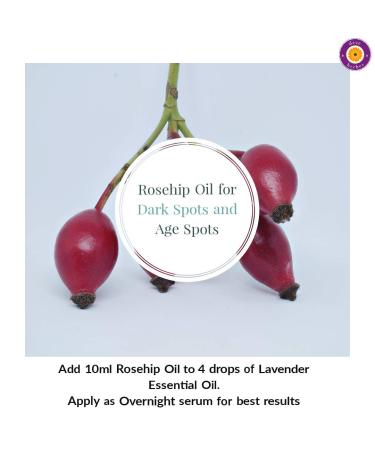 d ve herbes Pure Rosehip Oil (Rosa rubiginosa) Cold Pressed 5ml (0.16 oz) 0.16 Fl Oz (Pack of 1) - Buy Online on GoSupps.com