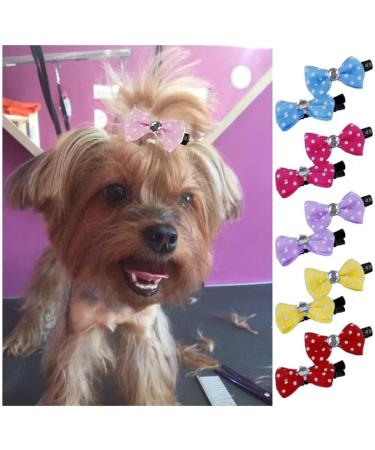 NA NA 20Pcs Dog Hair Bows Hair Clips Bow Pattern Hair Clips Set Pet Dog Cat Hairpin Pet Grooming Products Puppy Grooming Hair Accessories for Puppies Cats and Other Small Pets (Random Color) - Buy Online on GoSupps.com