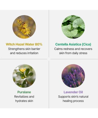 Groundplan - Hydrating face mist spray | facial spray mist | face spray mist hydrating | facial spray hydrating | facial mist spray for all skin types (0.68 Fl.oz) - Buy Online on GoSupps.com