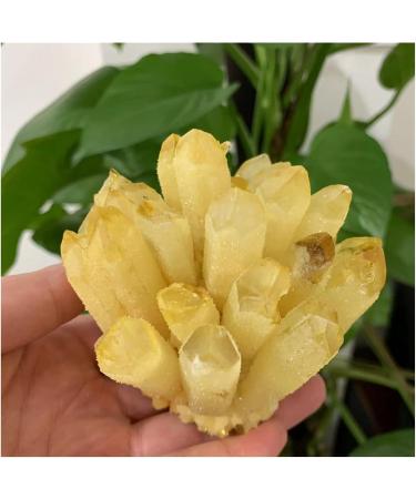 Natural Crystal Rough Crystal Cluster Natural Citrine Phantom Quartz Crystal Cluster Specimen (Size : 750-800g) - Buy Online on GoSupps.com