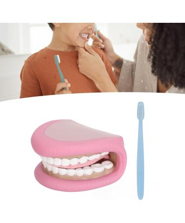 Dental Care Model for Kids | Flexible False Teeth for Speech & Language Development - Buy Online on GoSupps.com