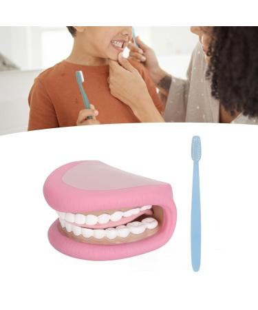 Children's Dental Care Model - Interactive Mouth Doll with 28 Teeth & Toothbrush for Teaching Brushing Skills - Buy Online on GoSupps.com