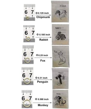 500 pcs Orthodontic Elastic Bands - Rabbit 3/16 - Latex Rubber Bands for Braces - 3/16 Inch - Buy Online on GoSupps.com