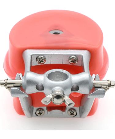 High-Quality Samnuerly Dental Teeth Model - 28 Removable Teeth & Simulation Cheek for Dentist Teaching & Learning | International Shipping Available - Buy Online on GoSupps.com