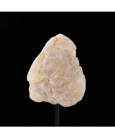Natural Agate Slice with Metal Stand Crystal Geode Raw Crystal White Crystal Clusters Minerals Specimen Geode Agate Stone for Crystal and Home Decor PEIQIYIN Stone Mineral Specimen - Buy Online on GoSupps.com