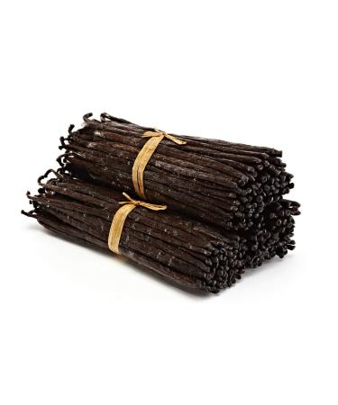 Premium Madagascar Vanilla Beans - Grade A Pods for Extract & Baking | Pack of 50 - Buy Online on GoSupps.com