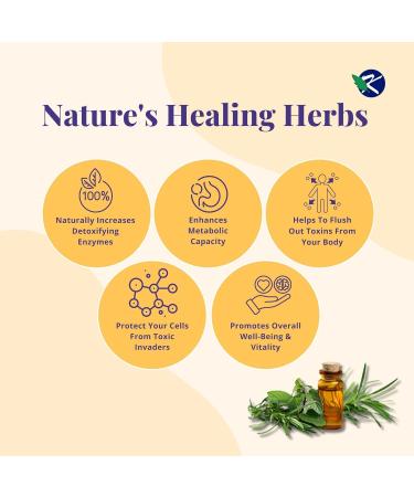 Liver Support Capsules | Ayurvedic Liver Suppot Detox & Rejuvenation Supplement | 100 Capsules | Natural Herbal Care | Pack of 12 100 Count (Pack of 12) - Buy Online on GoSupps.com