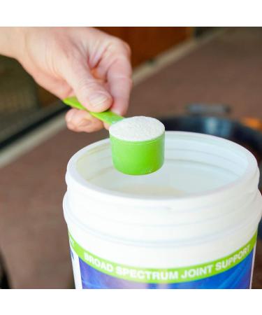 Nutramax Cosequin ASU Equine Powder 1320gm - Joint Health Supplement for Horses - Buy Online on GoSupps.com