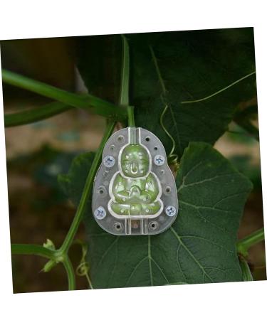 VANZACK Vegetable 4pcs Fruit Novel Shaping Buddha Shaped Cake Fruit Vegetable 3D Pumpkin Melon - Buy Online on GoSupps.com
