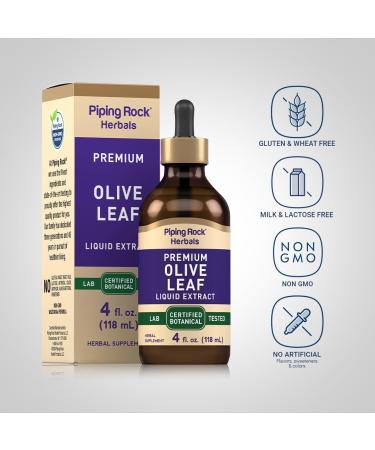 Piping Rock Olive Leaf Extract Liquid Drops | 4 Fl Oz | Alcohol Free Tincture | Herb Supplement | Olea Europaea | Vegetarian Non-GMO Gluten Free - Buy Online on GoSupps.com