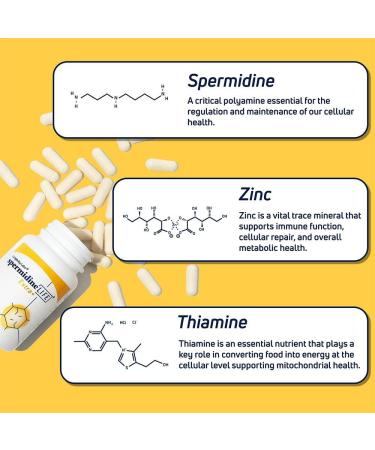 Longevity Labs+ spermidineLIFE Extra+ Natural Supplement Non-Synthetic Plant-Based Wheat Germ Extract with High Spermidine & Zinc for Cell Renewal Vegan for Women & Men 60 Capsules - Buy Online on GoSupps.com