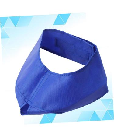 Shop Minkissy Fish Shells Dog Sweater & Glasses | Puppy Eye Flap & Cat Eye Mask - Blue Pet Apparel for Pets with Blindness - Buy Online on GoSupps.com