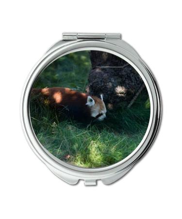 Mirror makeup mirror animal carnivore close up pocket mirror portable mirror