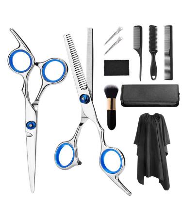 Hair Cutting Scissors, Haircut Scissors Kit Thinning Shears Kit for Home, Barber, Salon Silver