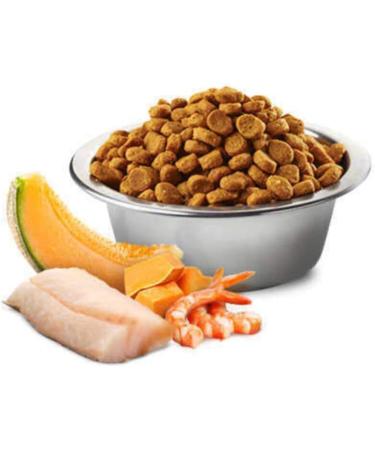 N&D Ocean Dog COD Pumpkin and Cantaloupe Melon Puppy Medium & Maxi 2 5 KG - Buy Online on GoSupps.com