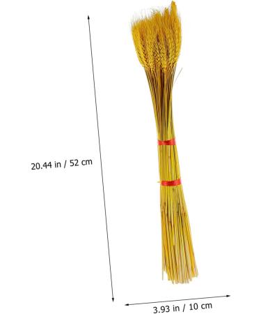 100pcs Dried Wheat Ears Bouquet Dried Flowers Decor Wedding Wheat Ear Floral Arrangement Wheat Ear Wheat Stalk Flowers Wheat Ear Dry Flowers Home Wheat Ear Real Flower Natural Yellow 52X10CM - Buy Online on GoSupps.com