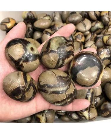 Natural Crystal Rough Natural Crystal Rough Specimen Natural ReikiSeptarium Quartz Crystal Stone Septarian Palm Size for Home DecorationStone (Color : Light Grey Size : 5pc) 5pc Light Grey - Buy Online on GoSupps.com