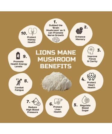 Nirvana Neurovitality Lions Mane Mushroom Cognition (60 Capsules) Lions Mane Mushroom Powder Extract Capsules | Brain Supplement Brain Vitamins Focus Supplement - Buy Online on GoSupps.com