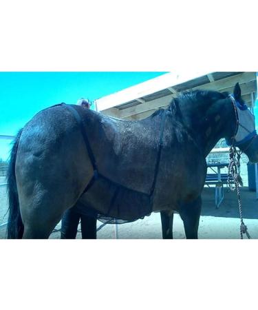MOVKZACV Fly Net for Horses - Adjustable Belly Protector | Protects from Mosquito Bites (94x71 cm) - International Shipping Available - Buy Online on GoSupps.com
