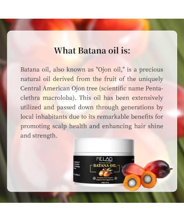 Oil Pure - 100% Raw Batana Oil for Hair Growth - Promotes Hair Regrowth and Repairs Damaged Hair - Veganic Natural Hair Growth Oil (1) - Buy Online on GoSupps.com