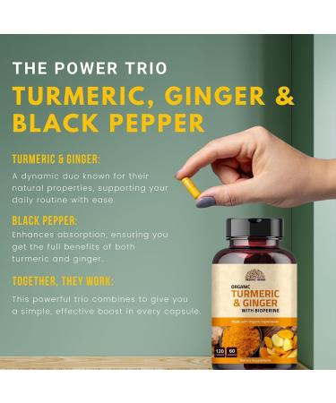 Turmeric Ginger with Black Pepper & Ginger 1000 mg 120 Capsules | Turmeric and Ginger Supplement with 95% Curcuminoids | Extra Strength Supplement| Joint Support Supplement | Non-GMO - 120 Capsules - Buy Online on GoSupps.com