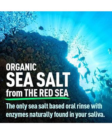 2 Pack H2Ocean Healing Rinse Mouthwash - Sea Salt & Xylitol Mouth Wash for Fresh Breath - Alcohol & Fluoride Free - Arctic Ocean Mint 16oz - Buy Online on GoSupps.com