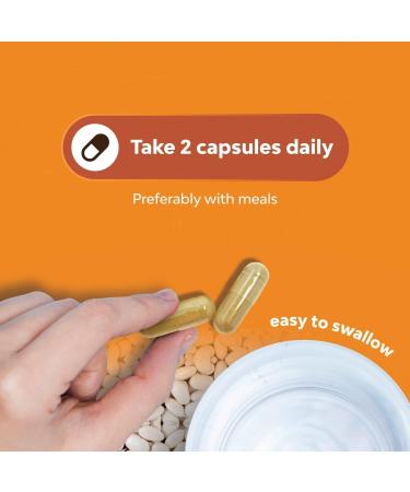 White Kidney Bean Energy Booster Capsules - Natural AMPK Activator & Antioxidant Supplement for Men and Women - Buy Online on GoSupps.com