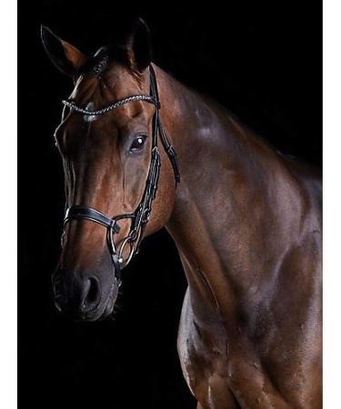 Collegiate 2021 Comfitec Crystal Bridle 80770 - Black Warmblood | Premium Equestrian Gear for International Shipping - Buy Online on GoSupps.com