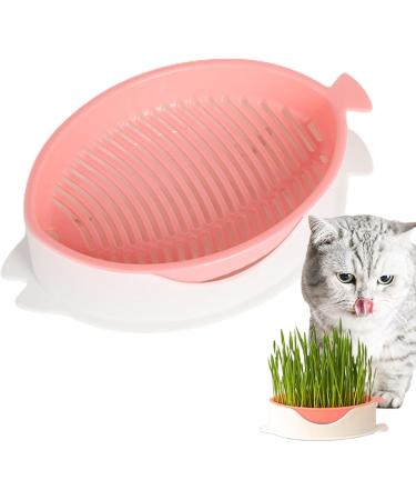  Tebinzi Catnip Cup Catnip Planter Hydroponic Catnip Culture - Cultivation Box Planting Soiless Fish Shape with Mesh Tray for Tebinzi - Buy Online on GoSupps.com