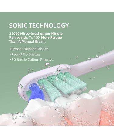 CD-08 Electric Toothbrush for Adults | Rechargeable Sonic Tooth Brush with 4 Modes Pressure Sensor Smart Timer - Long Lasting Charge (80 Days) - White & Light Green - Buy Online on GoSupps.com