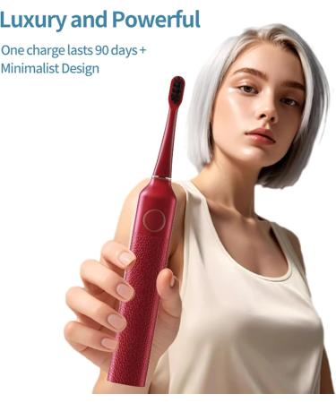 Rechargeable Sonic Electric Toothbrush for Adults - High Vibration Teeth & Gum Care 3 Modes Soft Dupont Brush Heads 2-Minute Timer - Shop Internationally - Buy Online on GoSupps.com