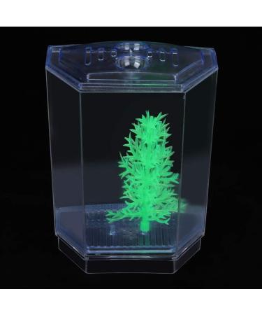 Cuque May Gifts Blue Insulation Panels Mini Transparent Fish Tank Mini Aquarium Tank Hatching Incubator Aquarium(Single Grid) - Buy Online on GoSupps.com