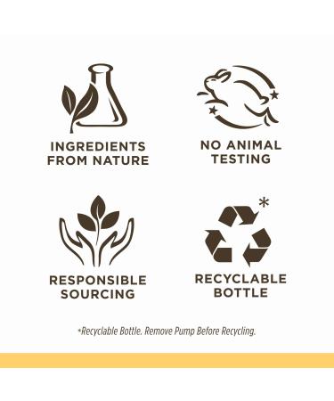 Burt's Bees Joyful Moments Baby Shampoo, Wash, Lotion & Lip Balm Set - Buy Online on GoSupps.com