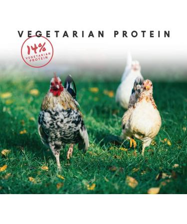 Manna Pro Harvest Delight Chicken Treats - 2.5 lbs Chicken Scratch Feed - Buy Online on GoSupps.com
