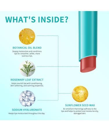 Petansy Hydrating Lip Tint - 4 Color Moisturizing Jelly Lipstick & Tinted Lip Balm for Women & Girls - Buy Online on GoSupps.com