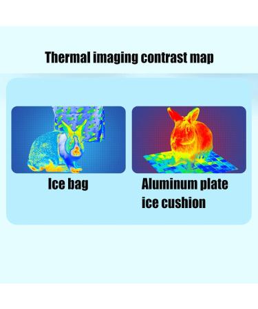 Fovolat Ice Bag for Small Animal Cage - Ice Cube Bags for Cage Cooling Small Pet Summer Heat Ice Bag for Rabbits Hedgehogs Kittens and Other Small Pets - Buy Online on GoSupps.com
