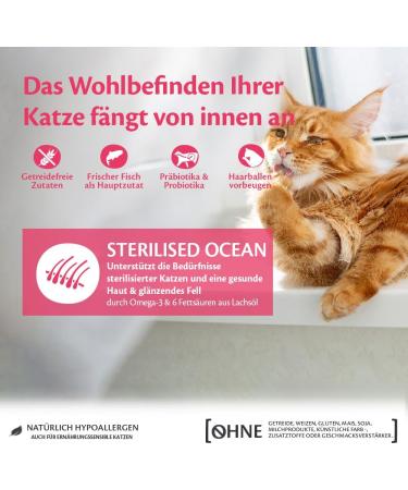 Wellness CORE Sterilised Ocean Cat Food - Grain-Free High Meat Salmon & Tuna 4 kg for Sterilized Cats - Buy Online on GoSupps.com