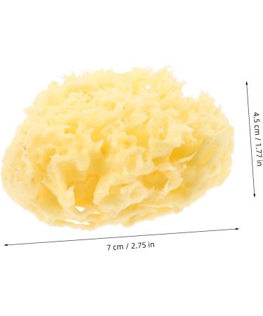 Mikinona Moisturizer Bathing Sponge Body Sponge Bath Sponges for Bathing Sponge for Body Natural Sponges for Body Sea Sponges for Shower Natural Sponges for Bathing Sponge Bath - Buy Online on GoSupps.com