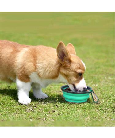 Slson 2-Pack Foldable Dog Bowls with Carabiner Hooks - Portable Pet Water & Food Bowls for Dogs & Cats (350ml Light Blue & Light Green) - Buy Online on GoSupps.com
