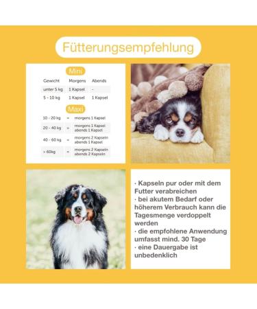 Canimove Immune Maxi - EPA70 + Tragant + Enovita OPC for Dogs | 100 Capsules - Immune Support Supplement - Buy Online on GoSupps.com