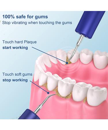 Dental Care Kit with LED Light - Teeth Cleaning Tools with 3 Modes, 4 Replaceable Heads, Oral Mirror - Teeth Whitening and Oral Hygiene Set - Buy Online on GoSupps.com