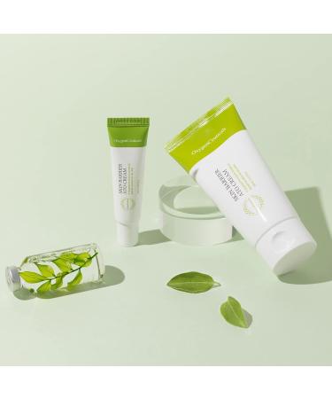 OxygenCeuticals Skin Barrier Ato Cream Protective Cream with Fucoidan V, Shea Butter & Centella Asiatica, Strengthen Skin Barrier & Soothe Sensitive Skin. 4.05 fl.oz (120ml) 4.1 Fl Oz (Pack of 1) - Buy Online on GoSupps.com